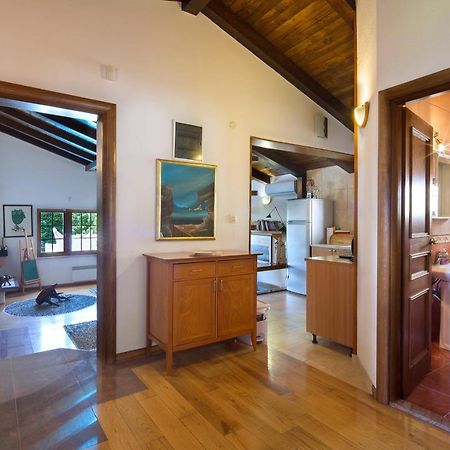 Villa Robinson Petrovac Exteriér fotografie